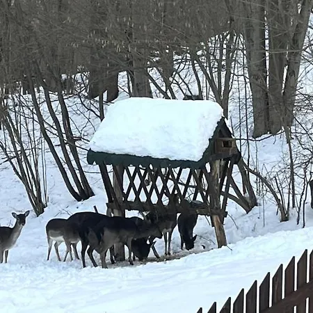 Lodge U Golisov Zakopcie