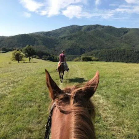 U Golisov *