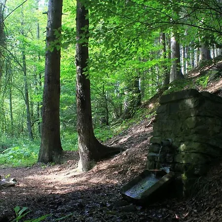 U Golisov Lodge Zakopcie