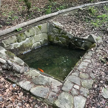 Lodge U Golisov Zakopcie