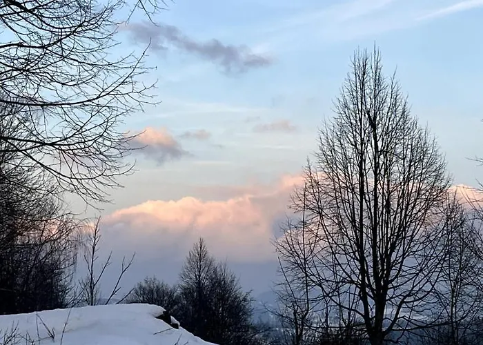 U Golisov Деревянный коттедж