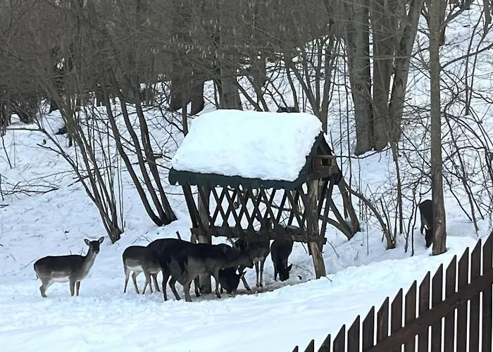 Деревянный коттедж U Golisov Zakopcie