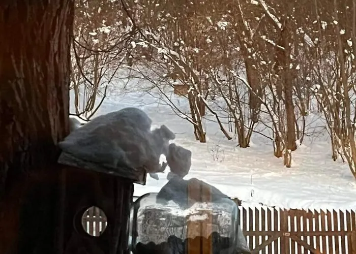 U Golisov Деревянный коттедж