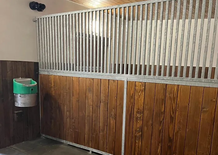 Деревянный коттедж U Golisov *