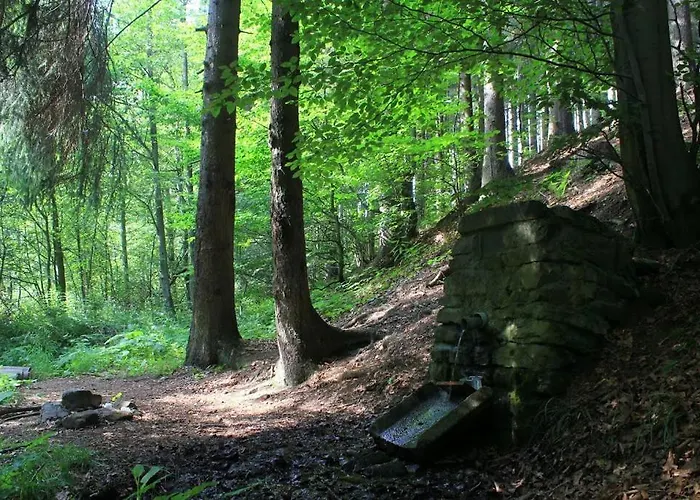 U Golisov Деревянный коттедж Zakopcie